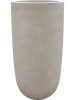 Baq Seren Bay Ashen D48×90 см