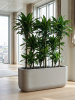 Baq Seren Baffle Ashen 120×40×50 см