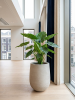 Baq Seren Bubble Высокий Ashen D30×40 см