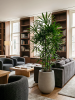Baq Seren Bubble Высокий Ashen D30×40 см