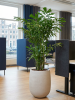 Baq Seren Bubble Высокий Ashen D55×72 см