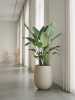 Baq Seren Bubble Высокий Ashen D55×72 см