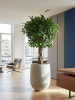 Baq Seren Bubble Высокий Ashen D68×89 см