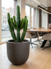 Baq Seren Бонд Deep Мокко D65×60 см