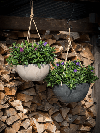 Artstone Фиона Подвесное Чёрный D25×12 см