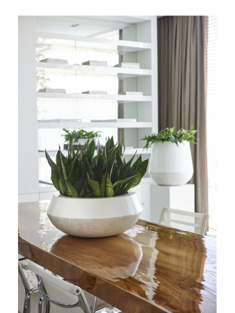 Бордовый Чаша Eggshell Белый White + Lacquer D60×25 см