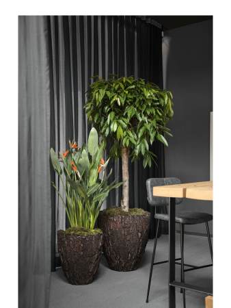 Bosco Горшок Merah Цвет Коры D60×65 см