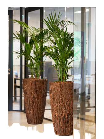 Bosco Ваза Цвет Коры D39×75 см