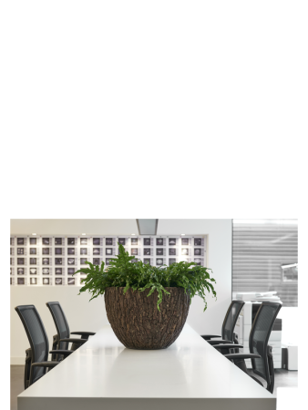 Bosco Чаша Плюс Цвет Коры D55×40 см