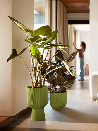 Вайбс Fold Купе Fern Зелёный D30×45 см