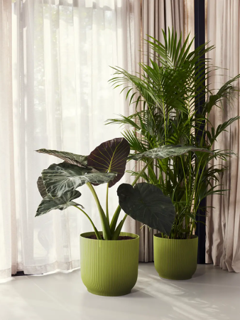 Вайбс Fold Раунд Зелёный Fern D39×36 см
