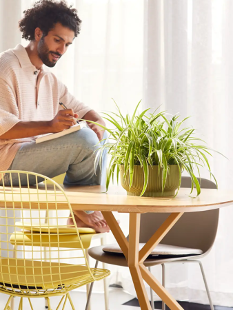 Вайбс Fold Чаша Зелёный Fern D25×12 см
