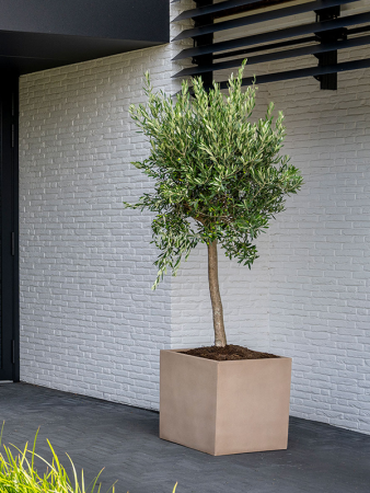 Файберстоун Блок XL Тауп 60×60×60 см