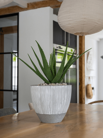 Рифленый Джеслин XXS Белый Stripe D33×29 см