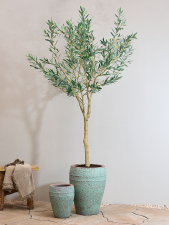Средиземноморский Арес M, Rustic Зелёный D40×50 см