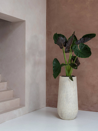 Минеральный Накс L Travertine Бежевый D50×100 см