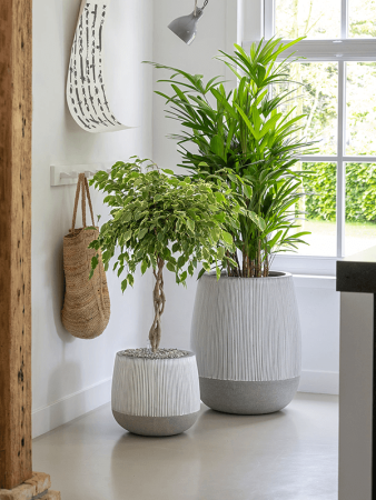 Рифленый Перри L Белый Stripe D54×60 см