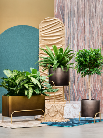 Baq Градиент Приподнятый Прямоугольник Низкий Матовый Медовый  + Voet 82×34×51 см