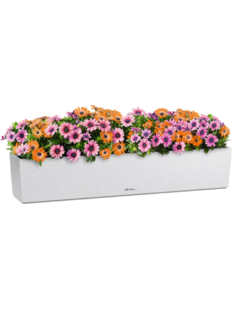 Кашпо Lechuza "Balconera Stone 100 Complete quarz white" (пластик), 100x19xH19 см