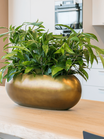 Baq Металлик Серебристый Leaf Лодка Матовый Медовый 75×30×25 см