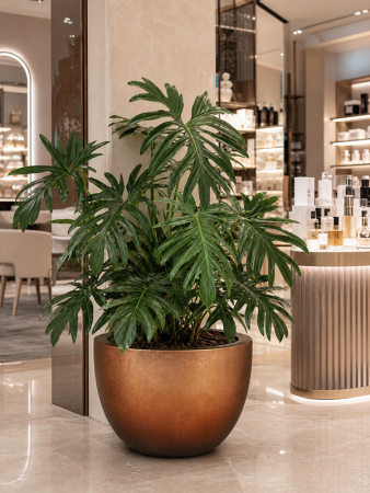 Baq Металлик Серебристый Leaf Чаша Матовый Медь D45×27 см