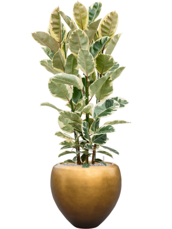 Baq Металлик Серебристый Leaf Купелла Матовый Медовый С Вкладышем D50×45 см