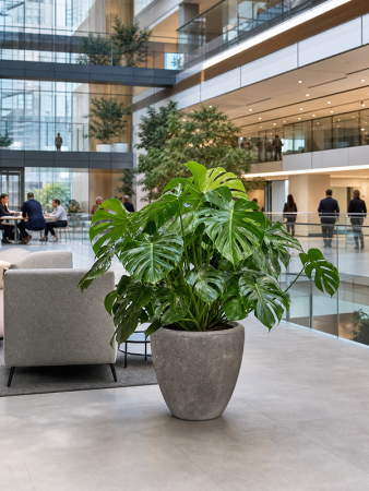 Baq Полистоун Плэйн Купелла Серый D65×65 см