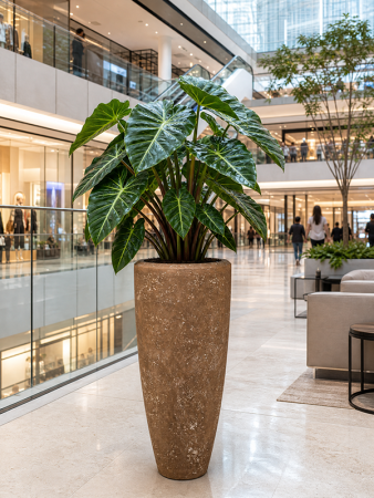 Baq Полистоун Плэйн Компаньон Каменный С Вкладышем D37×90 см