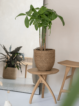 Богемия Коди S Straw Grass D22×20 см