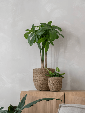 Богемия Коди M Straw Grass D27×26 см