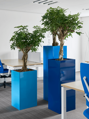 Престиж Структурная 40×40×13 см