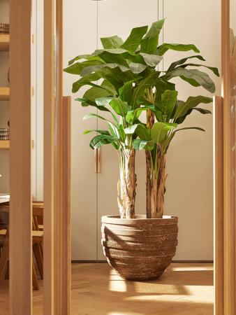 Baq Полистоун Coated Junar Купелла Каменный D70×56 см