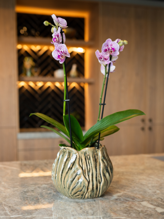 Flora Горшок Пудровый Тауп D20×17 см