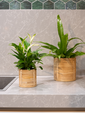 Majen Горшок Натуральный Набор Из 4 D22×22 см