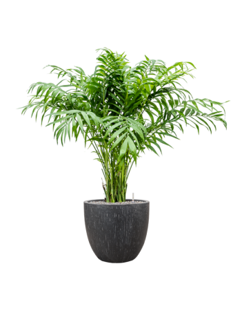 Baq Капля Дождя Купелла Антрацитовый D37×33 см