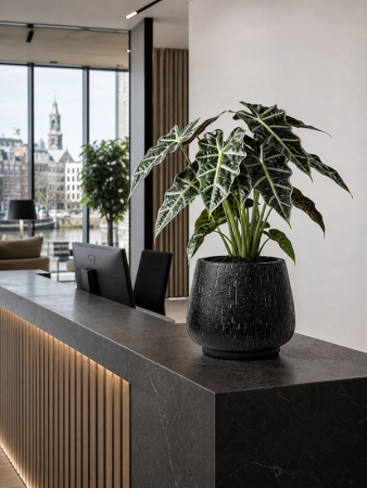 Baq Капля Дождя Дарси Антрацитовый D24×20 см
