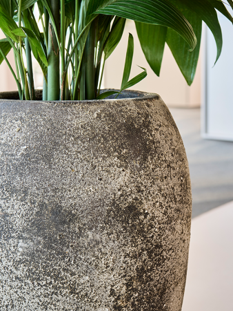 Baq Sandora Император Коричневый D45×75 см