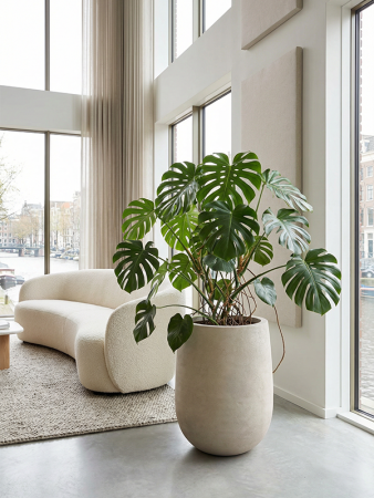 Baq Seren Bubble Высокий Ashen D42×55 см