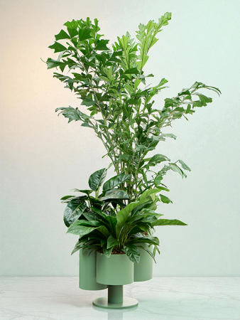 Штиль Closed Encounter Plant Горшок On Stand Набор Из 3 D48×57 см
