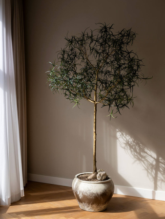 The Vessel Nendo XL Smoky Umber D60×45 см