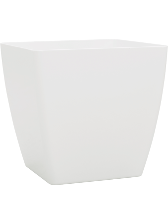 Baq Эколайн Phoenix Обычный Куб 25×25×24 см