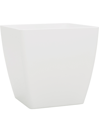 Baq Эколайн Phoenix Обычный Куб 52×52×50 см