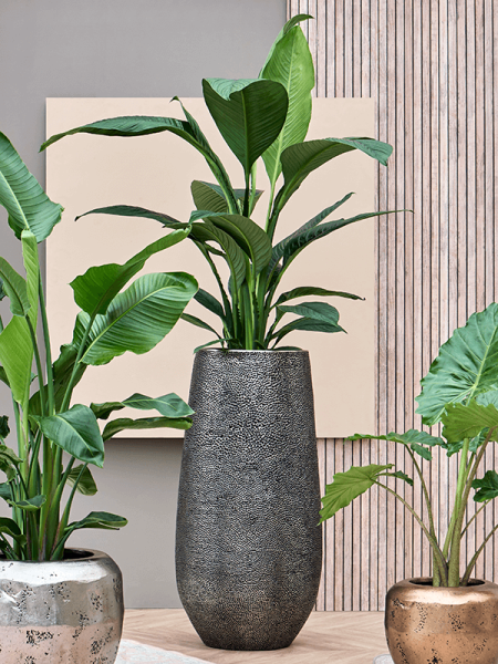 Baq Опус Хит Дарси Высокий Серебристый С Вкладышем D46×100 см