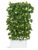 Сет № 135 - Композиция с тетрастигмой в кашпо Treez Effectory Gloss — 70.25-1135-WH